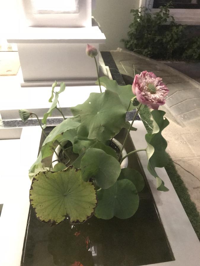 Sky Palace Boutique Hotel バッタンバン エクステリア 写真